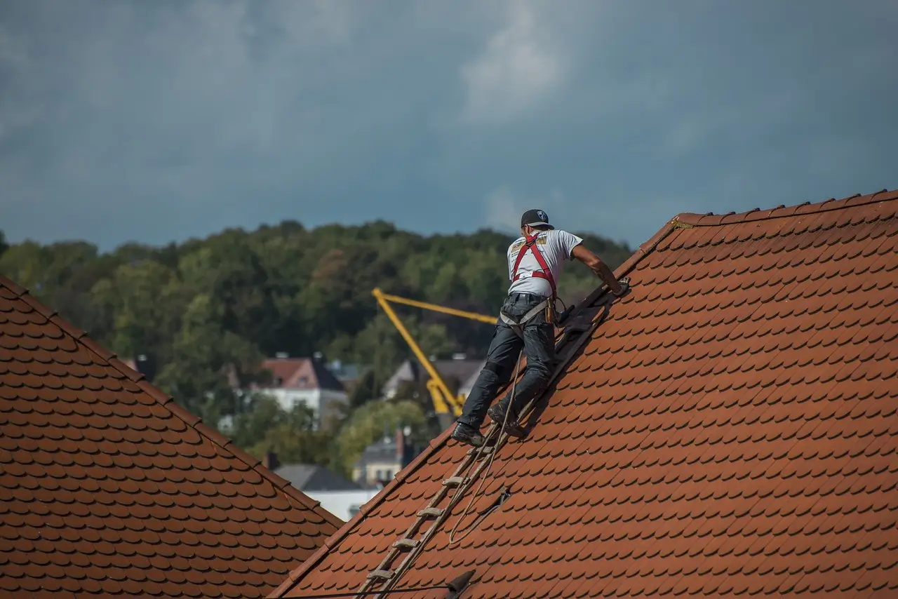 ROOFING & LANDSCAPING SERVICES