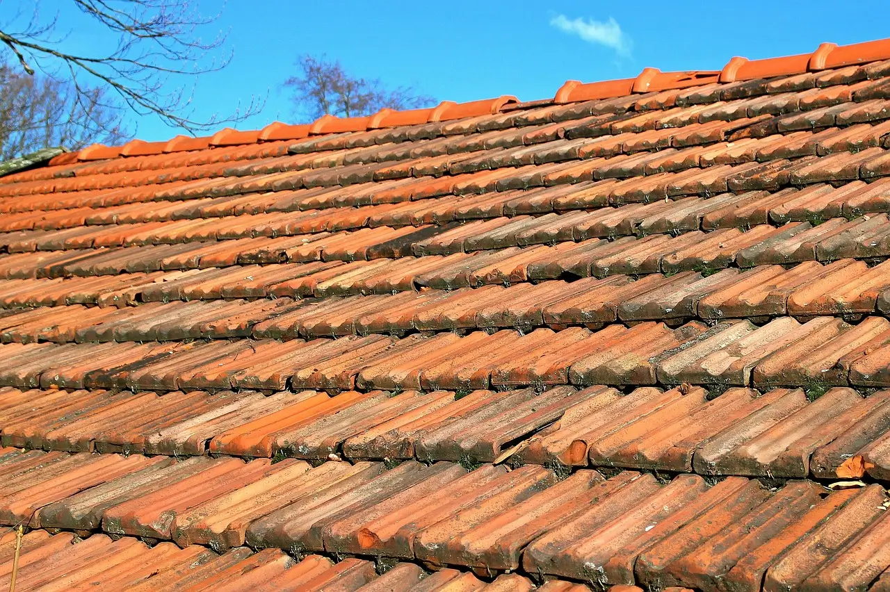 ROOFING & LANDSCAPING SERVICES